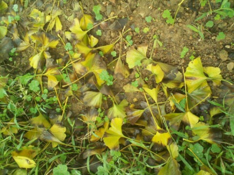 IMG20121204152014.jpg