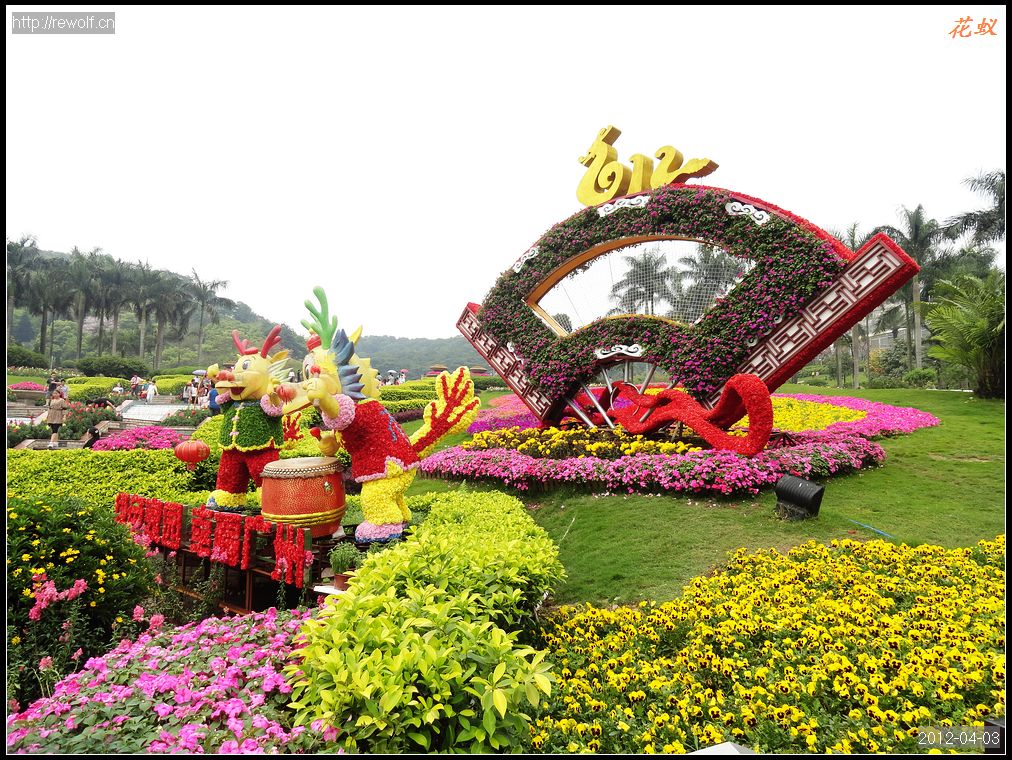 新年花坛布置-龙年