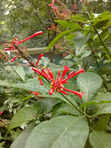 IMG20121220181336.jpg