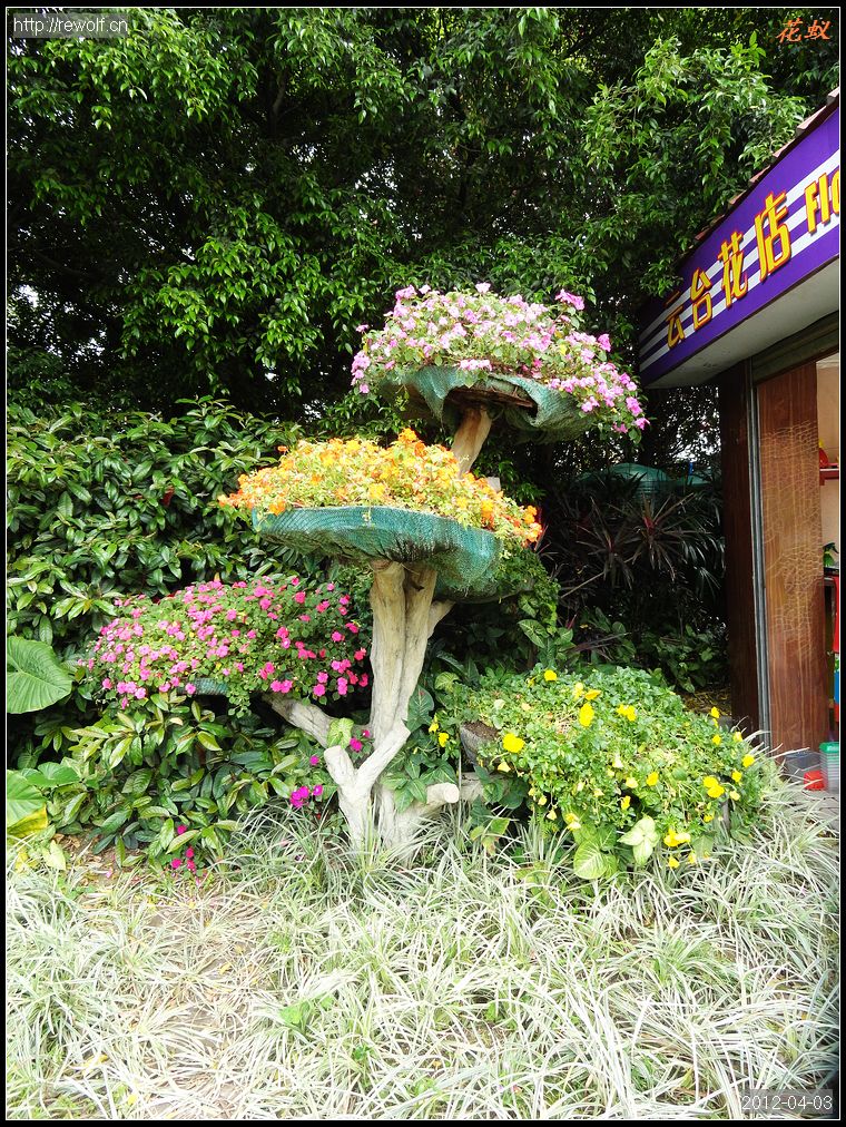 塑木&鲜花