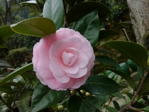 IMG20121226230927.jpg