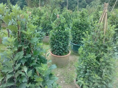 IMG20130101152536.jpg