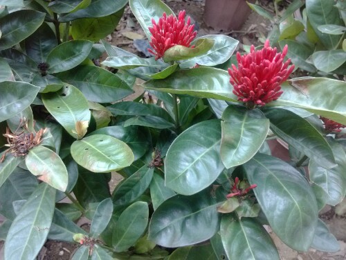 IMG20130101153414.jpg