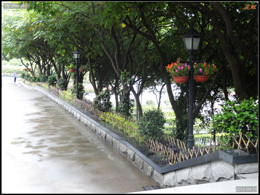 道路两旁绿化