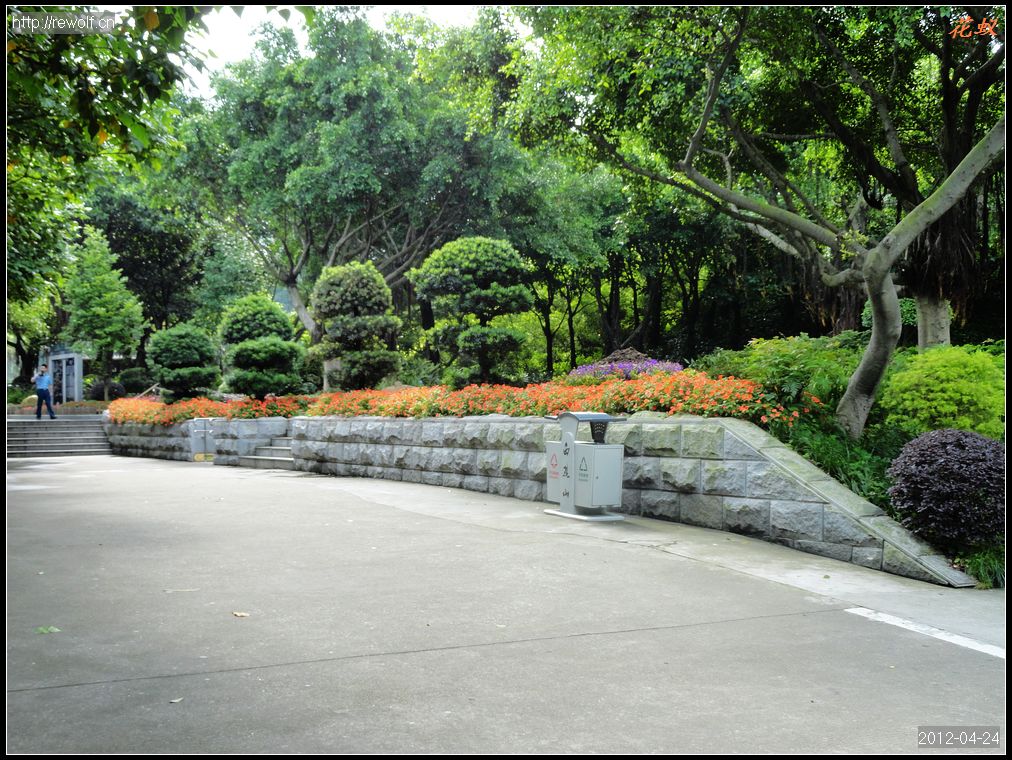 道路两旁绿化