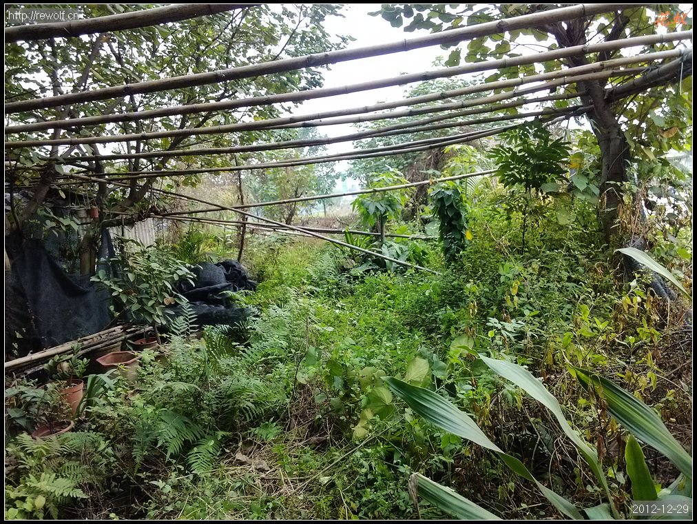清理