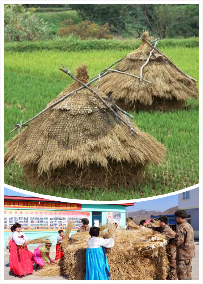 堆禾秆堆