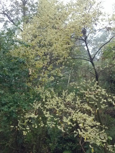 IMG20130122103619.jpg