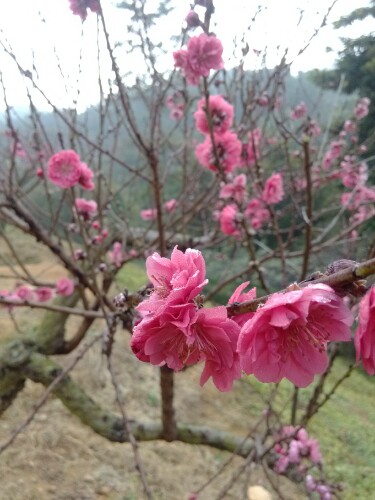 IMG20130122103913.jpg