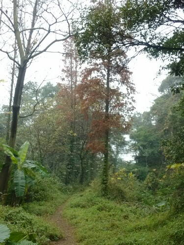 IMG20130122104123.jpg