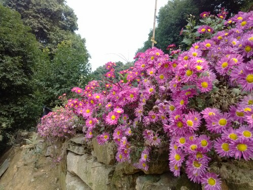 IMG20130123234327.jpg
