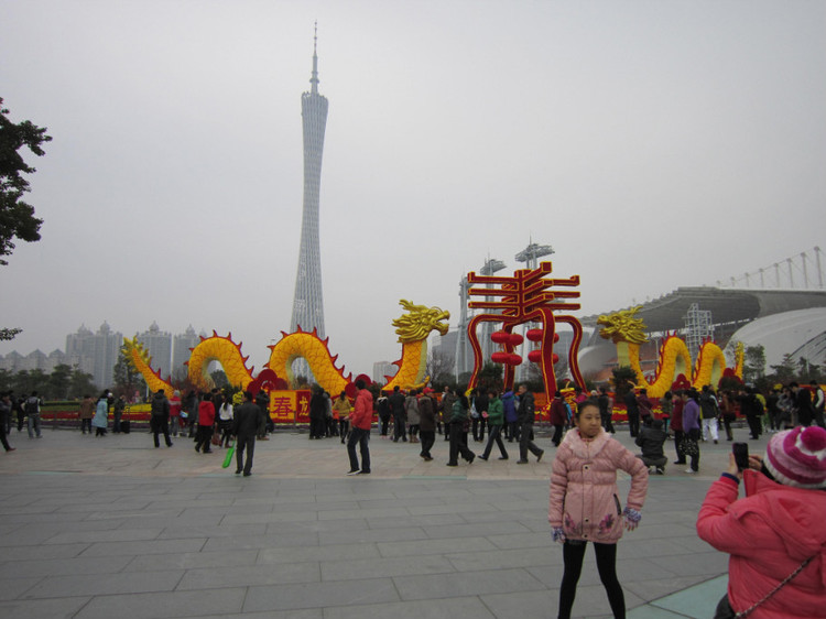 春节花坛展示（龙年）