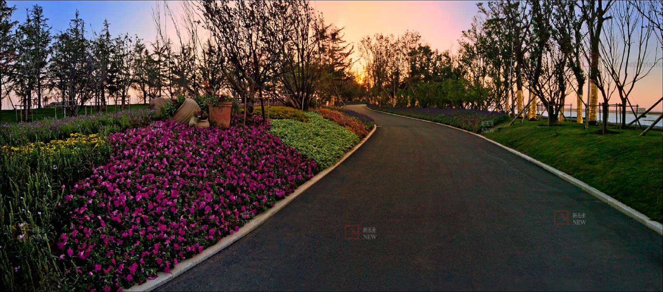 道路景观-乔木、花钵、地被