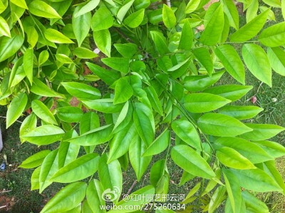 IMG20130330143621.jpg