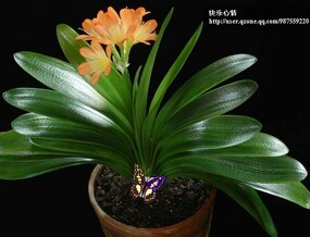 IMG20130330145809.jpg