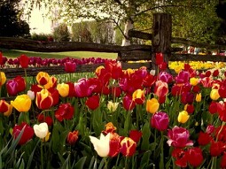IMG20130402234347.jpg