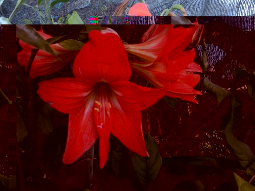 IMG20130404165047.jpg