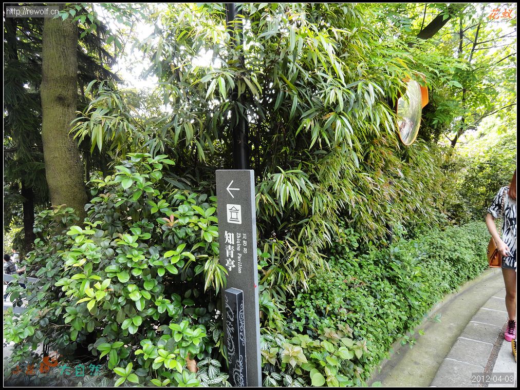 白云山路边绿化