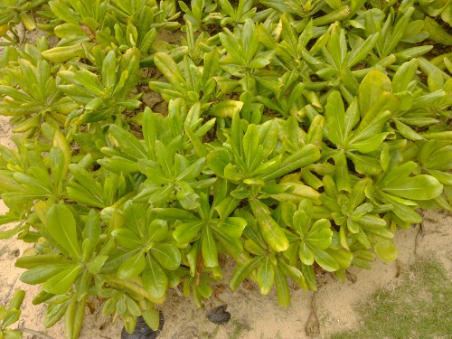 IMG20130416215655.jpg