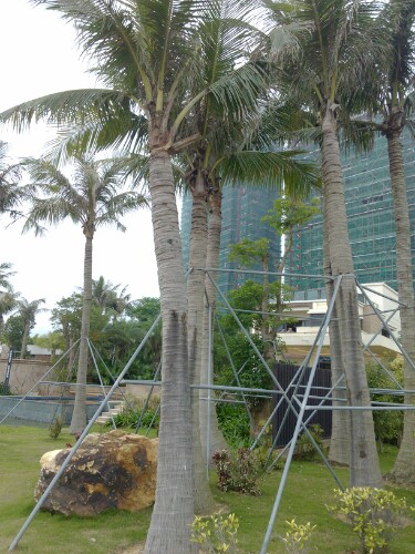 IMG20130416220304.jpg