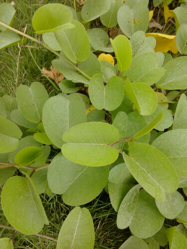 IMG20130416220952.jpg