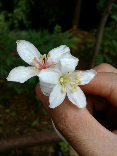 IMG20130416223712.jpg