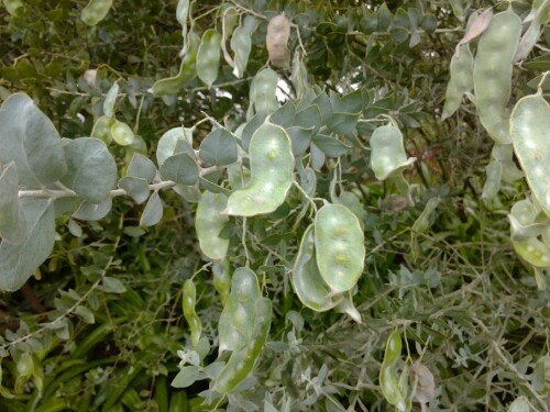 IMG20130417083917.jpg