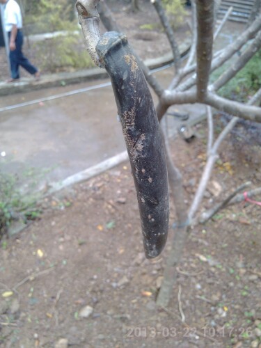 IMG20130417085631.jpg