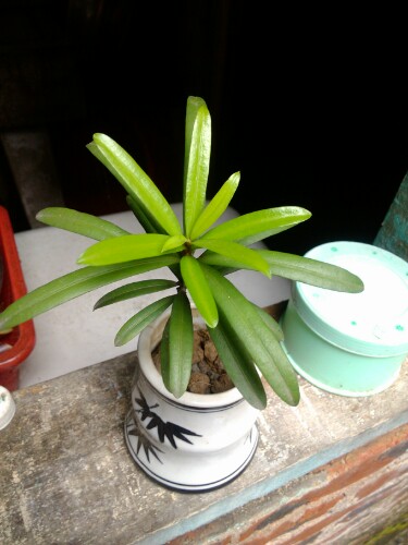 IMG20130417124715.jpg