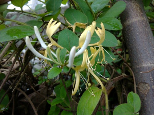 IMG20130417134336.jpg