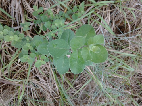 IMG20130419125135.jpg