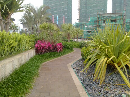 IMG20130421205902.jpg