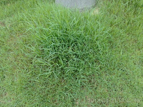 IMG20130422222759.jpg