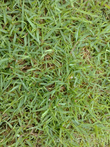 IMG20130422222811.jpg