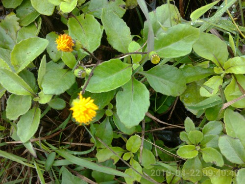 IMG20130425222917.jpg