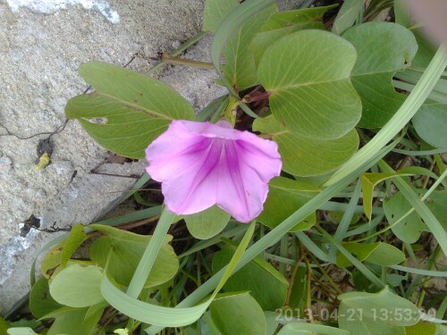 IMG20130427222224.jpg