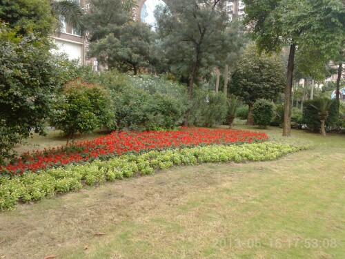 IMG20130517065114.jpg