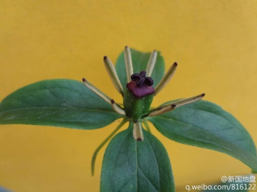 IMG20130615072503.jpg