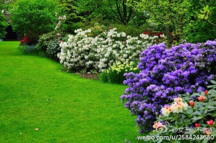 花境