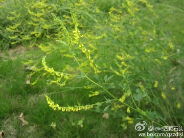 IMG20130621214038.jpg