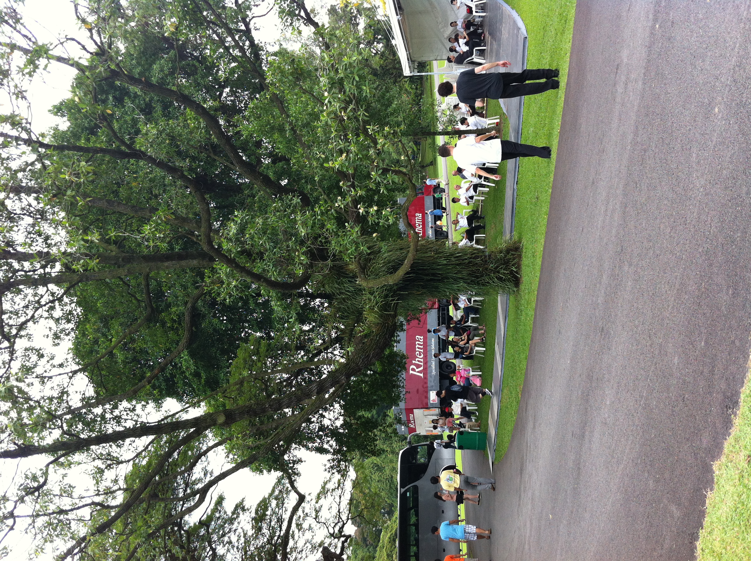新加坡总统府绿地