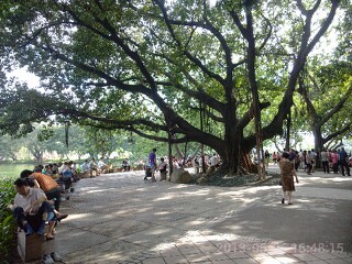 IMG20130627000225.jpg