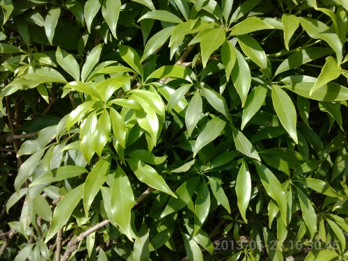 IMG20130627000554.jpg