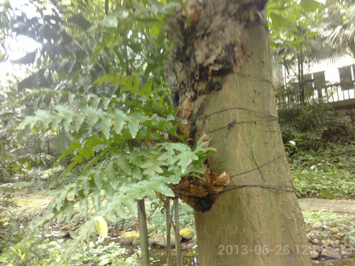 IMG20130629145655.jpg