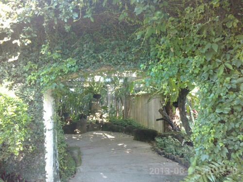 IMG20130629150305.jpg