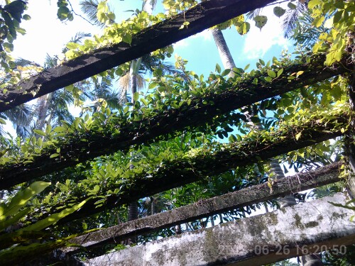 IMG20130629150721.jpg