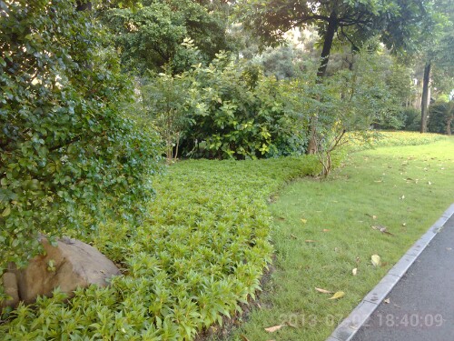 IMG20130705001109.jpg