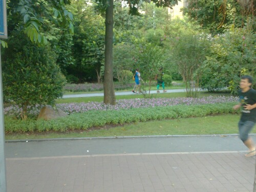 IMG20130814182407.jpg