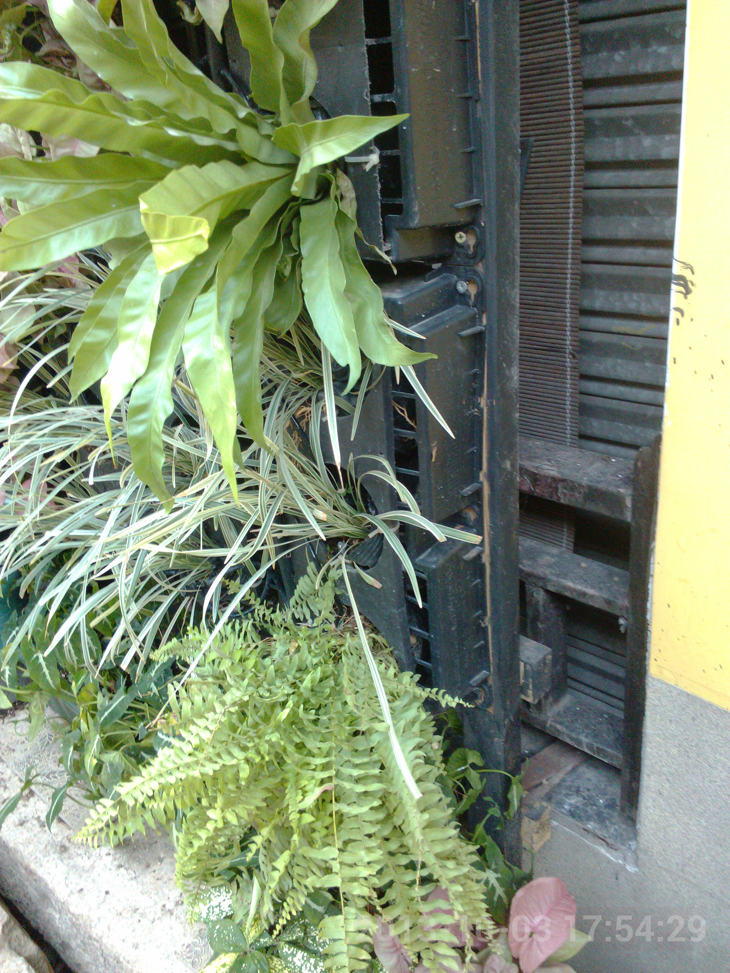 IMG_20131003_175429.jpg