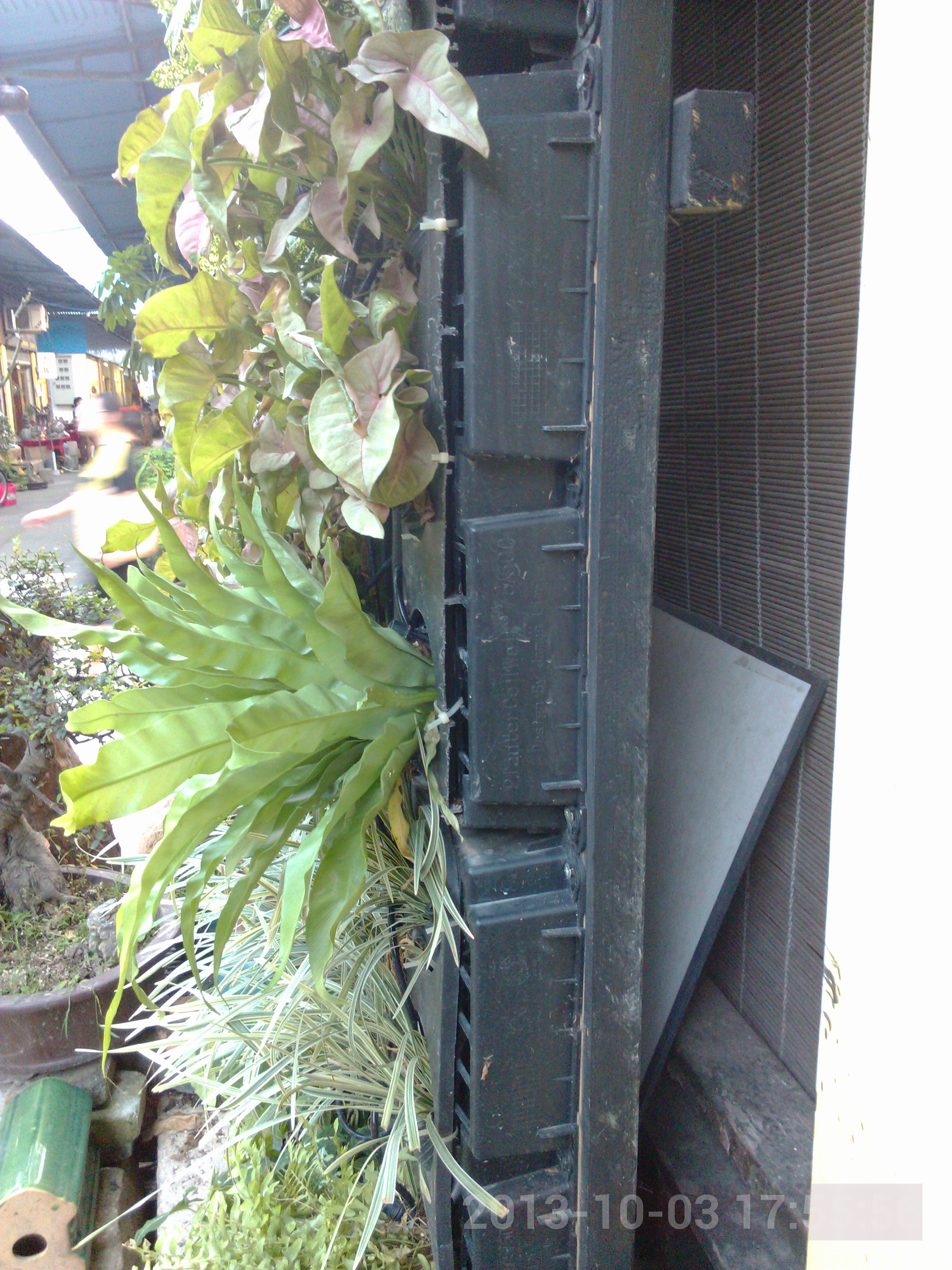 IMG_20131003_175557.jpg